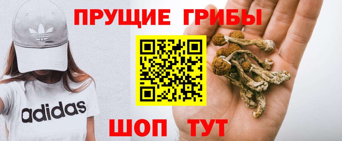 Нефтеюганск  Галлюциногенные грибы Psilocybine cubensis  Вход с VPN 